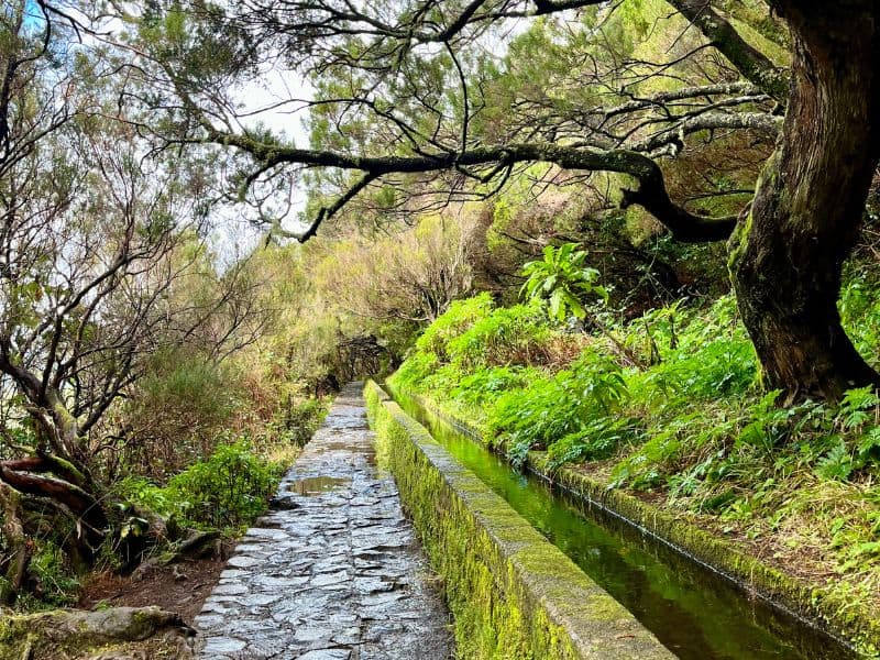Madeira cestování – leváda obklopená zelení a výhledem do údolí