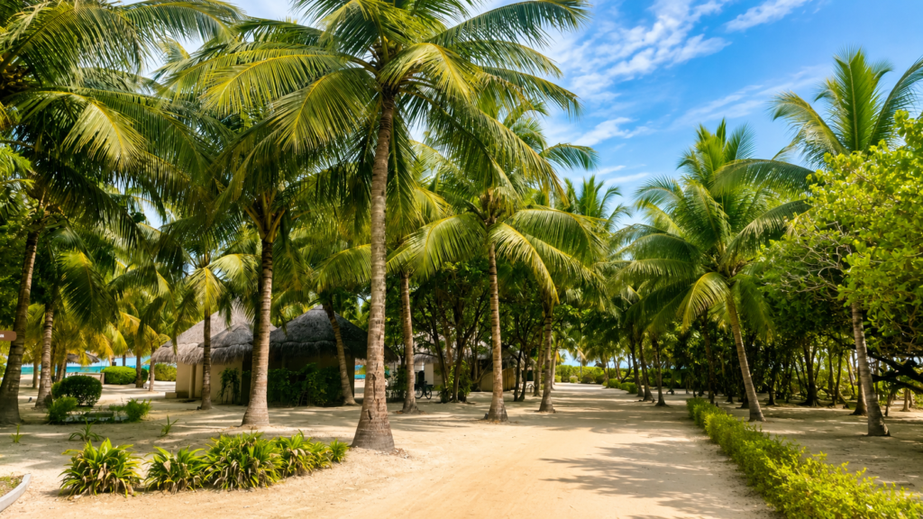 Tropická zahrada s palmami v resortu Adaaran Select Hudhuran Fushi na Maledivách.