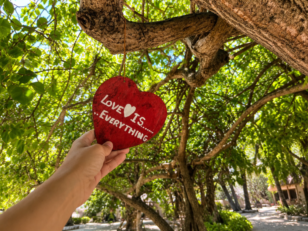 Dřevěné červené srdíčko s nápisem Love is everything zavěšené na stromě v resortu Adaaran Select Hudhuran Fushi na Maledivách.